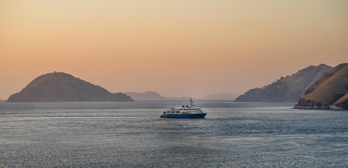 Searching for hammerhead sharks in the Banda Sea