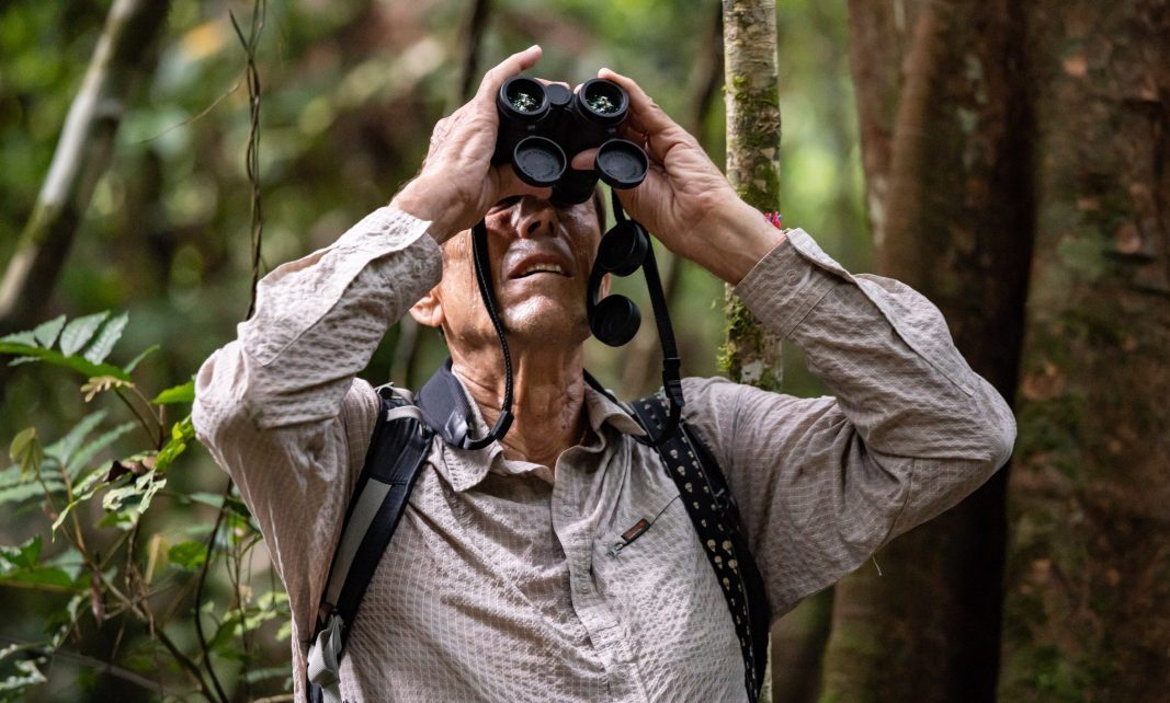 Search for Birds of Paradise…