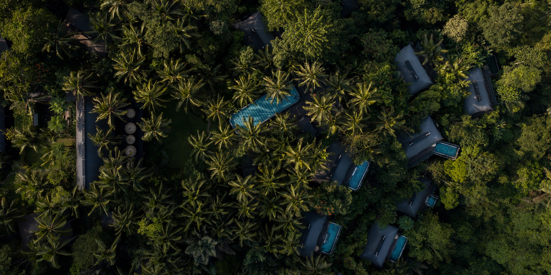 A Jungle to Sea Expedition